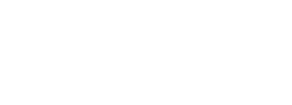 Naviotechniek Logo